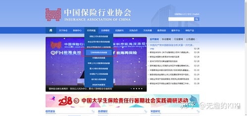 梧桐樹保險(xiǎn)經(jīng)紀(jì) 互聯(lián)網(wǎng)信息服務(wù)解析與市場認(rèn)知