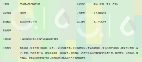 上海華略商務咨詢服務中心 以專業(yè)網(wǎng)站塑造高端商務形象